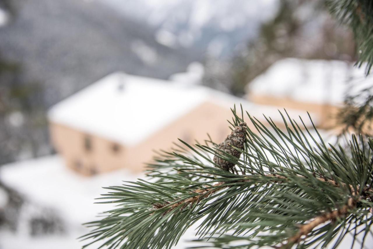 Archehof Hochzirm Lodge Anna กัมโปตูเรส ภายนอก รูปภาพ